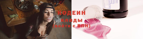 прущие грибы Абаза