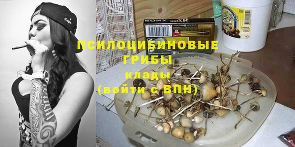 молекула духа Абинск