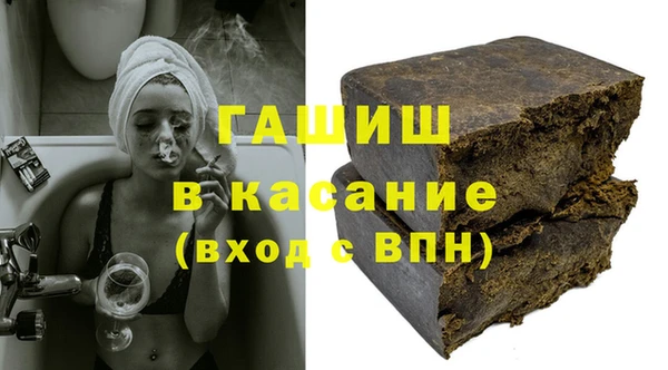 прущие грибы Абаза