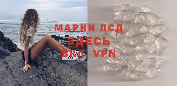 прущие грибы Абаза