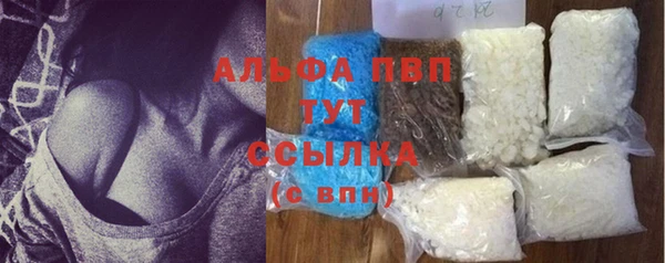 прущие грибы Абаза
