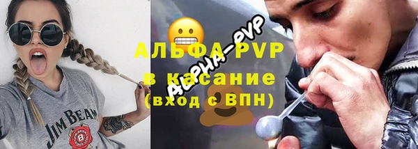 прущие грибы Абаза