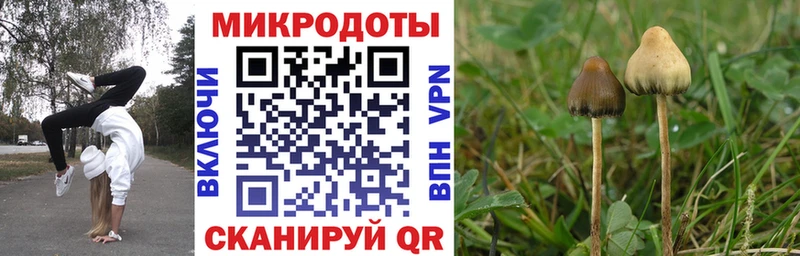 Галлюциногенные грибы ЛСД  Таштагол 
